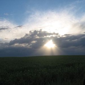 Meet your Posher, G.j.